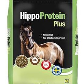 Hippo protein plus